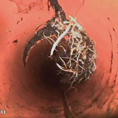 Pipe Inspections at Pipe Scan Albury Wodonga