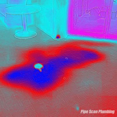 Thermal Imaging at Pipe Scan Albury Wodonga
